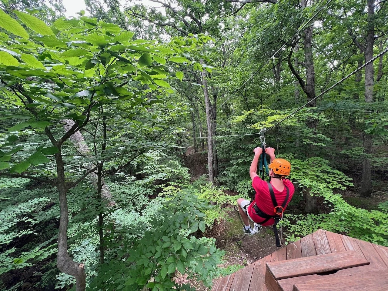 Go On a Zip Line Tour with ZipZone Outdoor Adventures